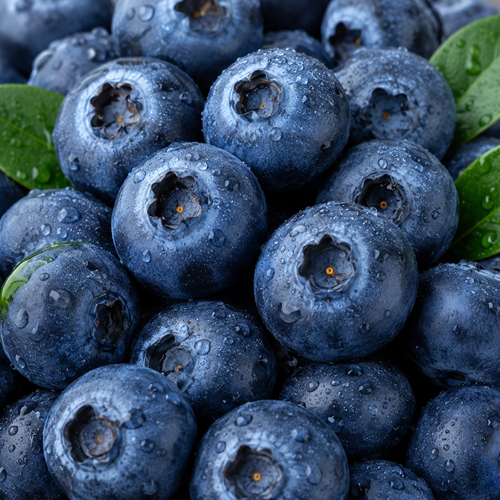 BLUEBERRY PERU