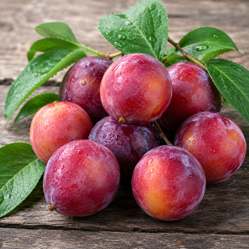 Indian Plum